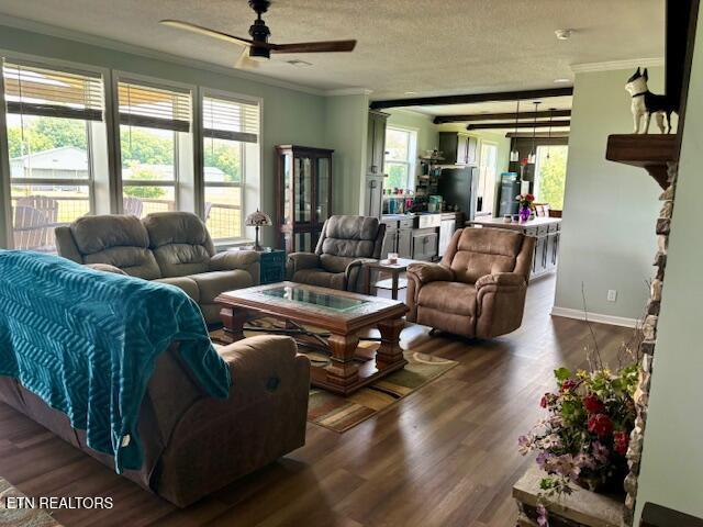 240 Christianburg Rd, Sweetwater, TN 37874 - photo 14