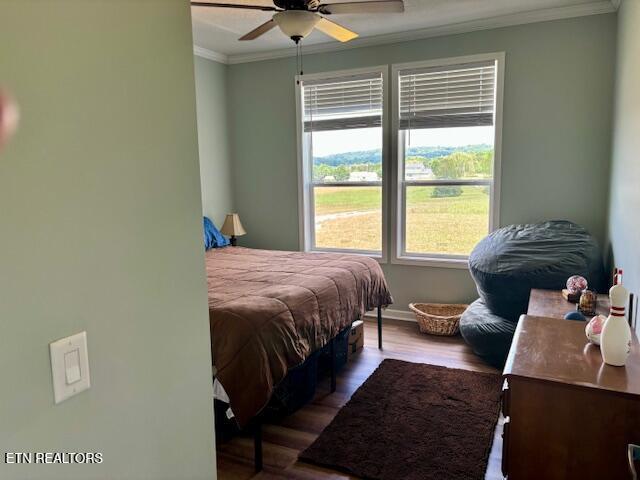 240 Christianburg Rd, Sweetwater, TN 37874 - photo 30