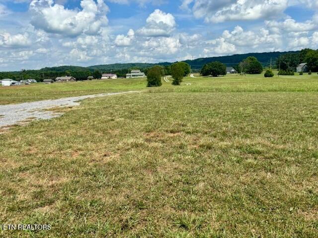 240 Christianburg Rd, Sweetwater, TN 37874 - photo 45
