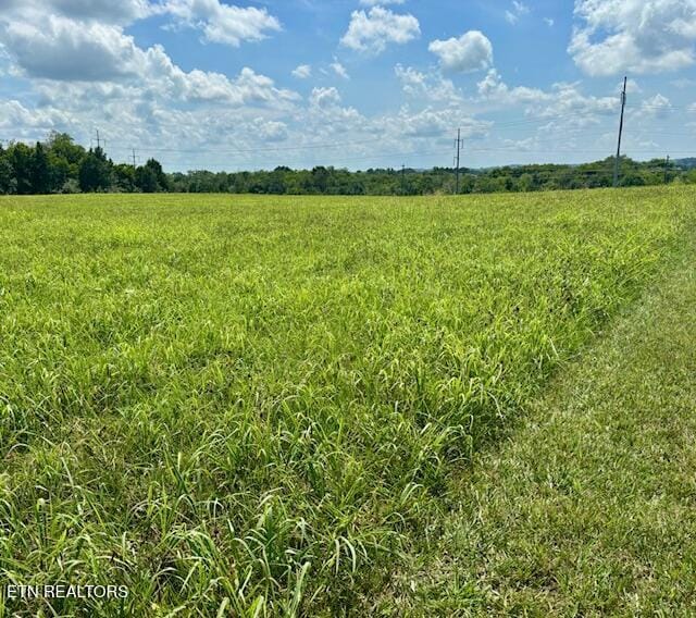 240 Christianburg Rd, Sweetwater, TN 37874 - photo 46