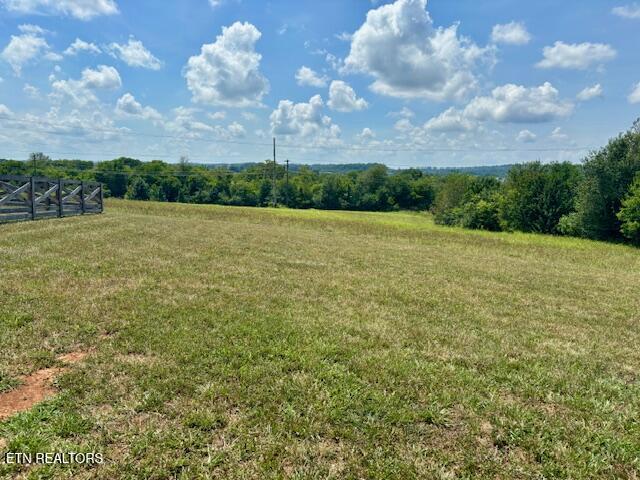 240 Christianburg Rd, Sweetwater, TN 37874 - photo 44