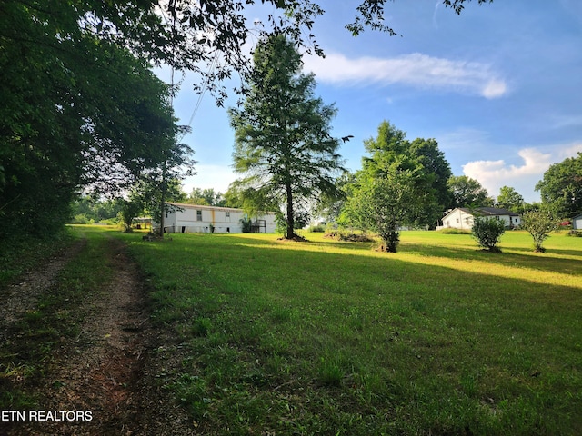 185 Mccormick Ln, Harriman, TN 37748 - photo 8