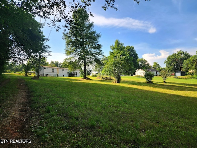 185 Mccormick Ln, Harriman, TN 37748 - photo 11