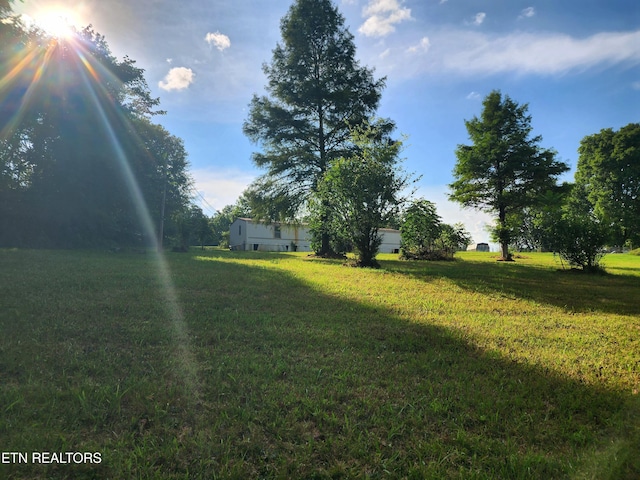 185 Mccormick Ln, Harriman, TN 37748 - photo 12