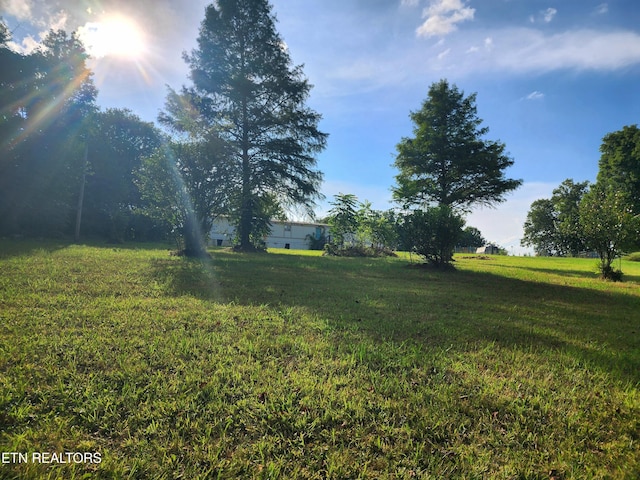 185 Mccormick Ln, Harriman, TN 37748 - photo 14