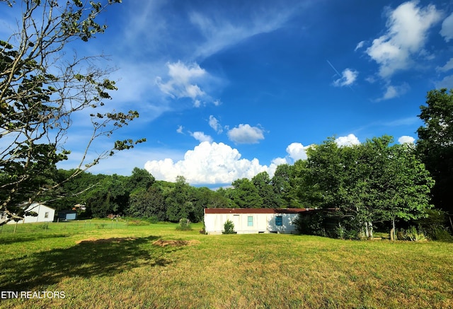 185 Mccormick Ln, Harriman, TN 37748 - photo 6