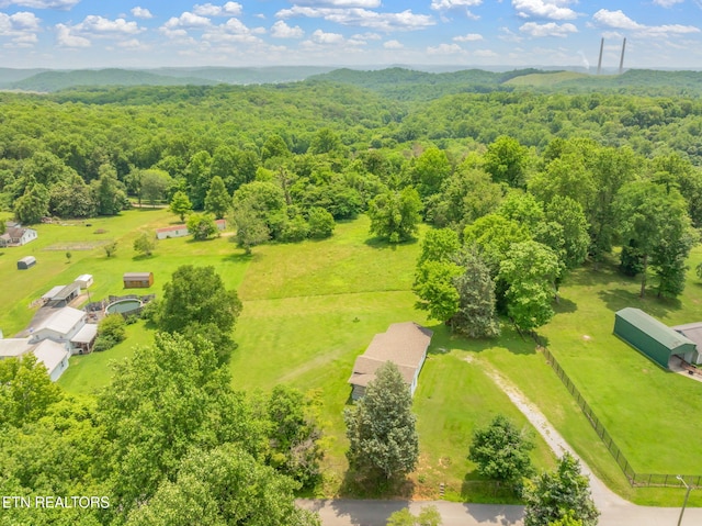 185 Mccormick Ln, Harriman, TN 37748 - photo 34