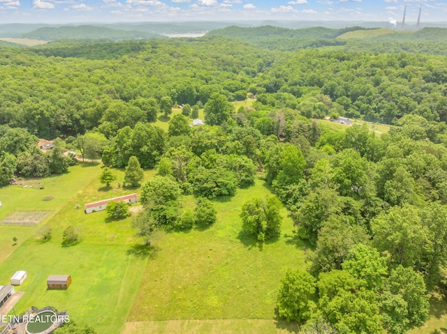 185 Mccormick Ln, Harriman, TN 37748 - photo 9