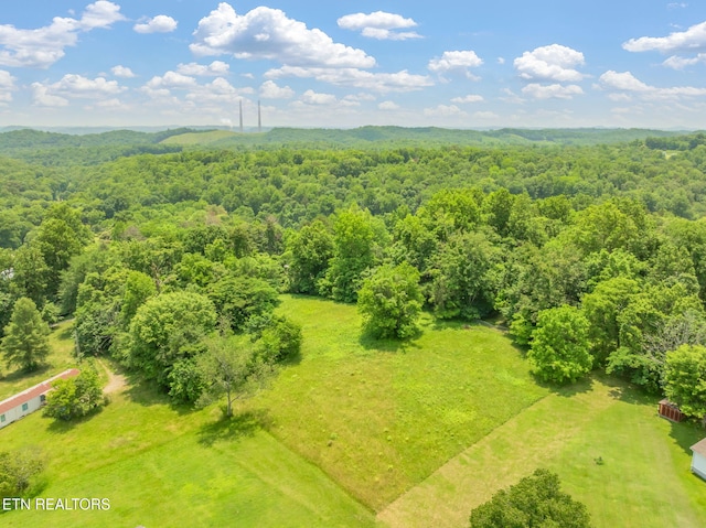 185 Mccormick Ln, Harriman, TN 37748 - photo 35