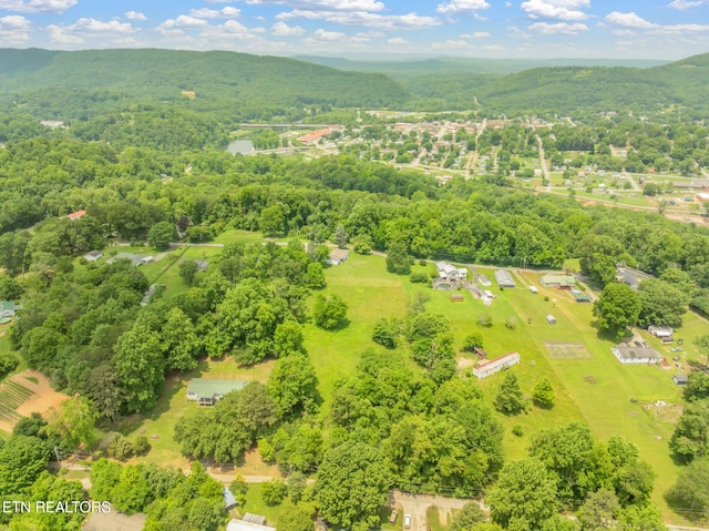 185 Mccormick Ln, Harriman, TN 37748 - photo 10