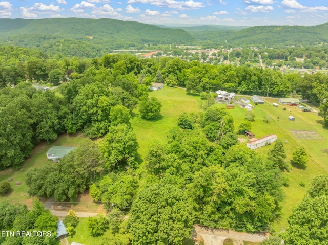 185 Mccormick Ln, Harriman, TN 37748 - photo 36