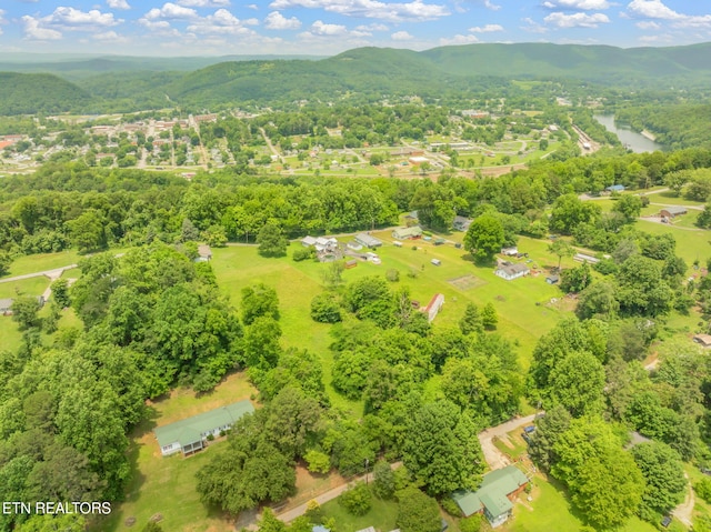 185 Mccormick Ln, Harriman, TN 37748 - photo 37