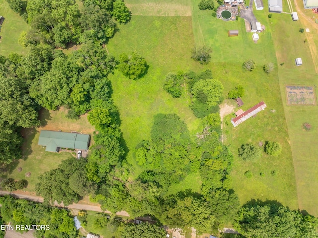 185 Mccormick Ln, Harriman, TN 37748 - photo 38