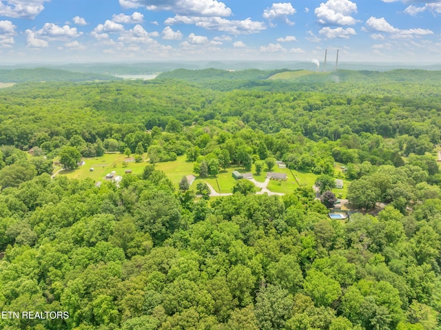 185 Mccormick Ln, Harriman, TN 37748 - photo 40