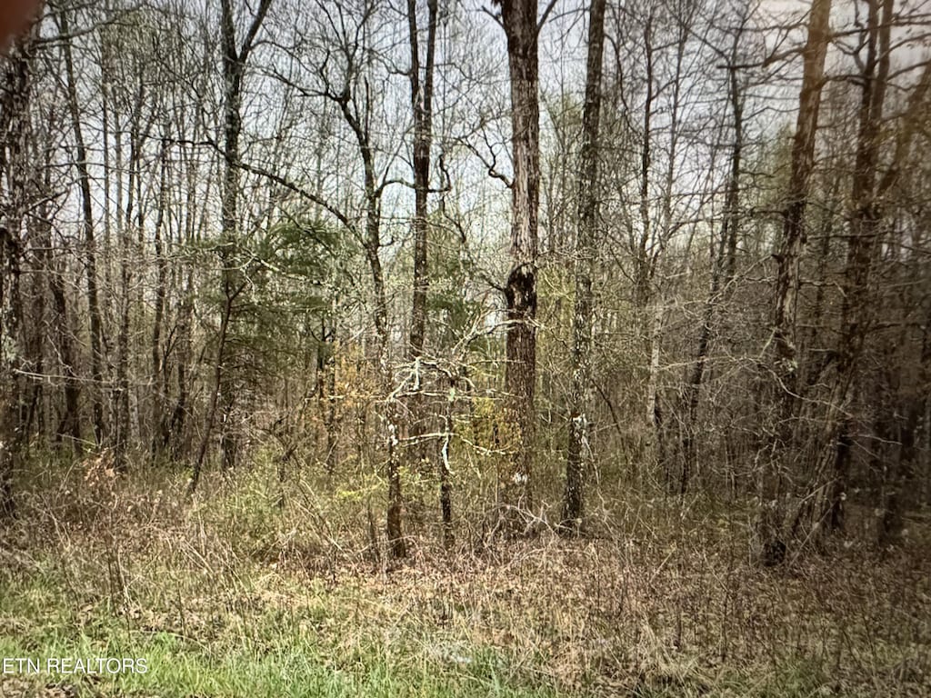 Grace Hill Dr, Crossville, TN 38571 - photo 1