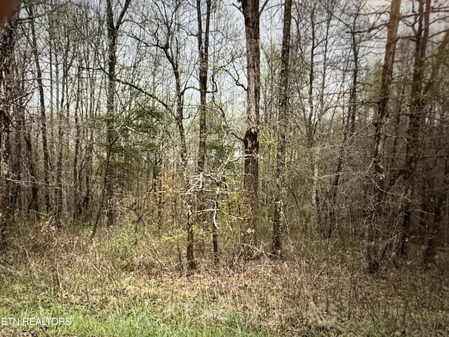 Grace Hill Dr, Crossville, TN 38571 - photo 1