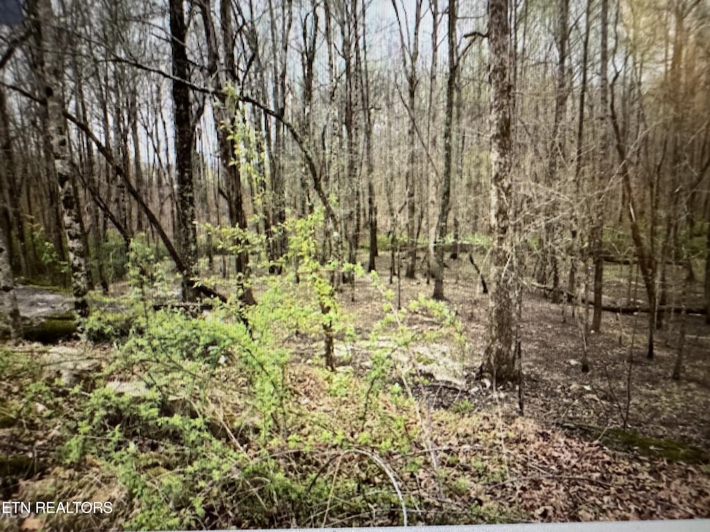 Grace Hill Dr, Crossville, TN 38571 - photo 2