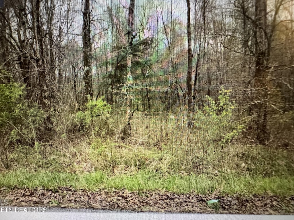 Grace Hill Dr, Crossville, TN 38571 - photo 3