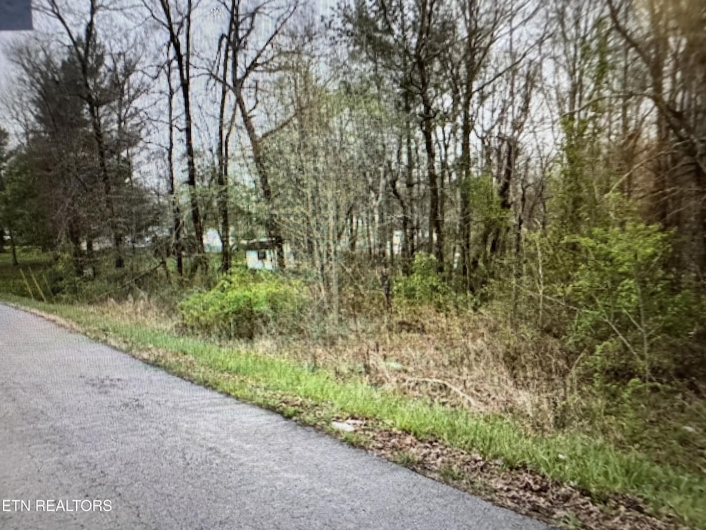 Grace Hill Dr, Crossville, TN 38571 - photo 4