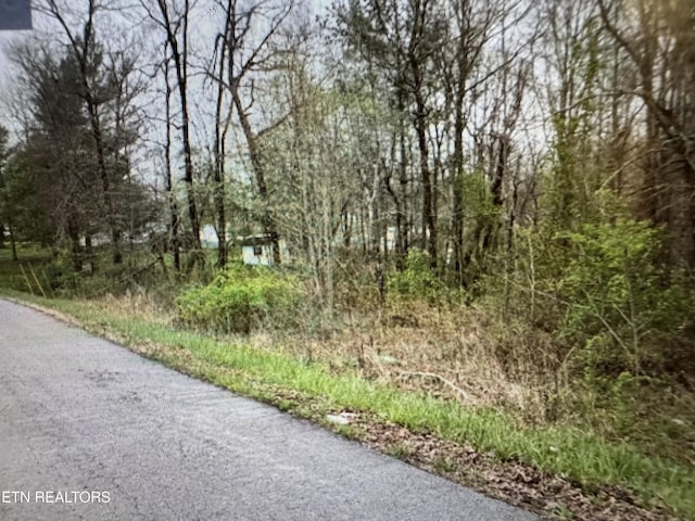 Grace Hill Dr, Crossville, TN 38571 - photo 4