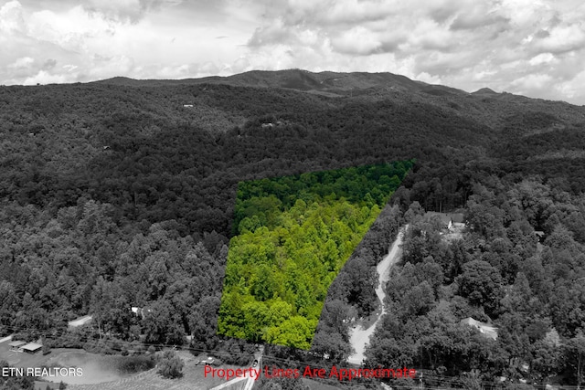 4.24ACRES Tunis Rd, Sevierville, TN 37876 - photo 2