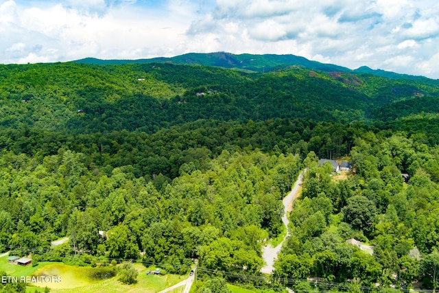 4.24ACRES Tunis Rd, Sevierville, TN 37876 - photo 1