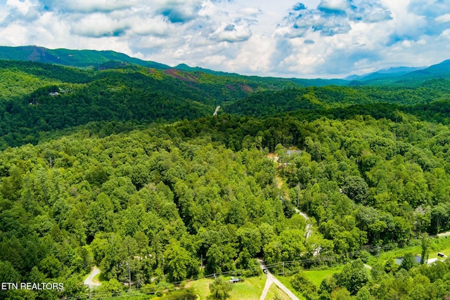 4.24ACRES Tunis Rd, Sevierville, TN 37876 - photo 3