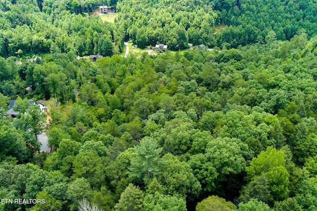 4.24ACRES Tunis Rd, Sevierville, TN 37876 - photo 4