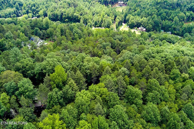 4.24ACRES Tunis Rd, Sevierville, TN 37876 - photo 5
