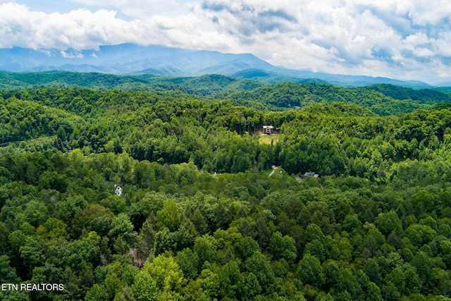 4.24ACRES Tunis Rd, Sevierville, TN 37876 - photo 6