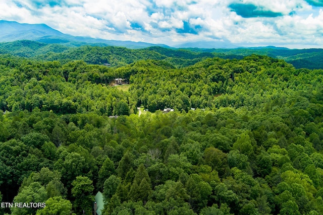 4.24ACRES Tunis Rd, Sevierville, TN 37876 - photo 7