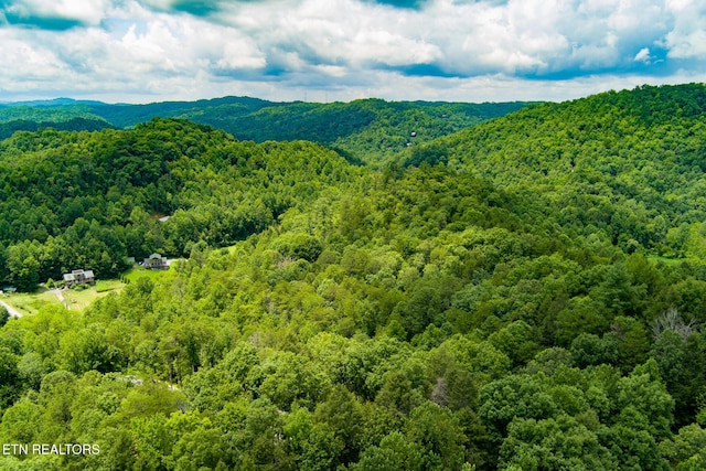 4.24ACRES Tunis Rd, Sevierville, TN 37876 - photo 8