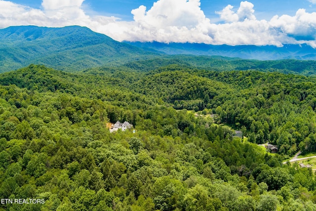 4.24ACRES Tunis Rd, Sevierville, TN 37876 - photo 9
