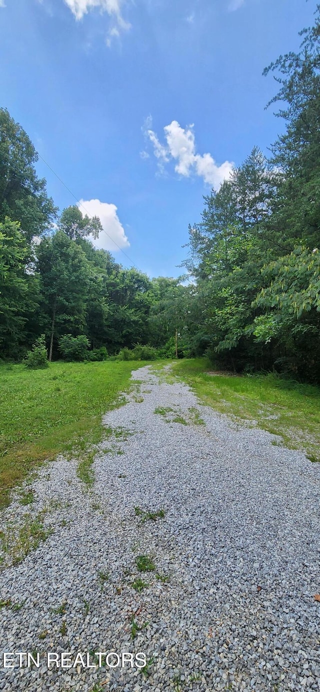 1006 Newcomb Ln, Knoxville, TN 37932 - photo 2