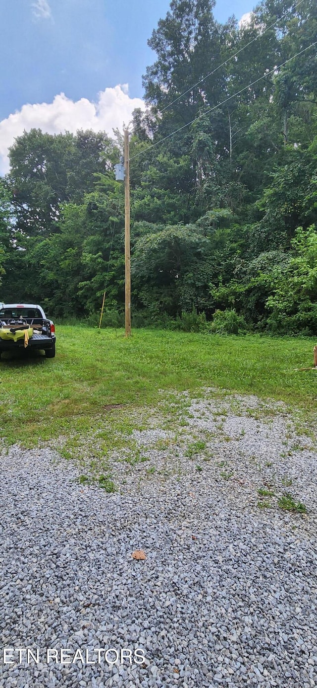 1006 Newcomb Ln, Knoxville, TN 37932 - photo 3