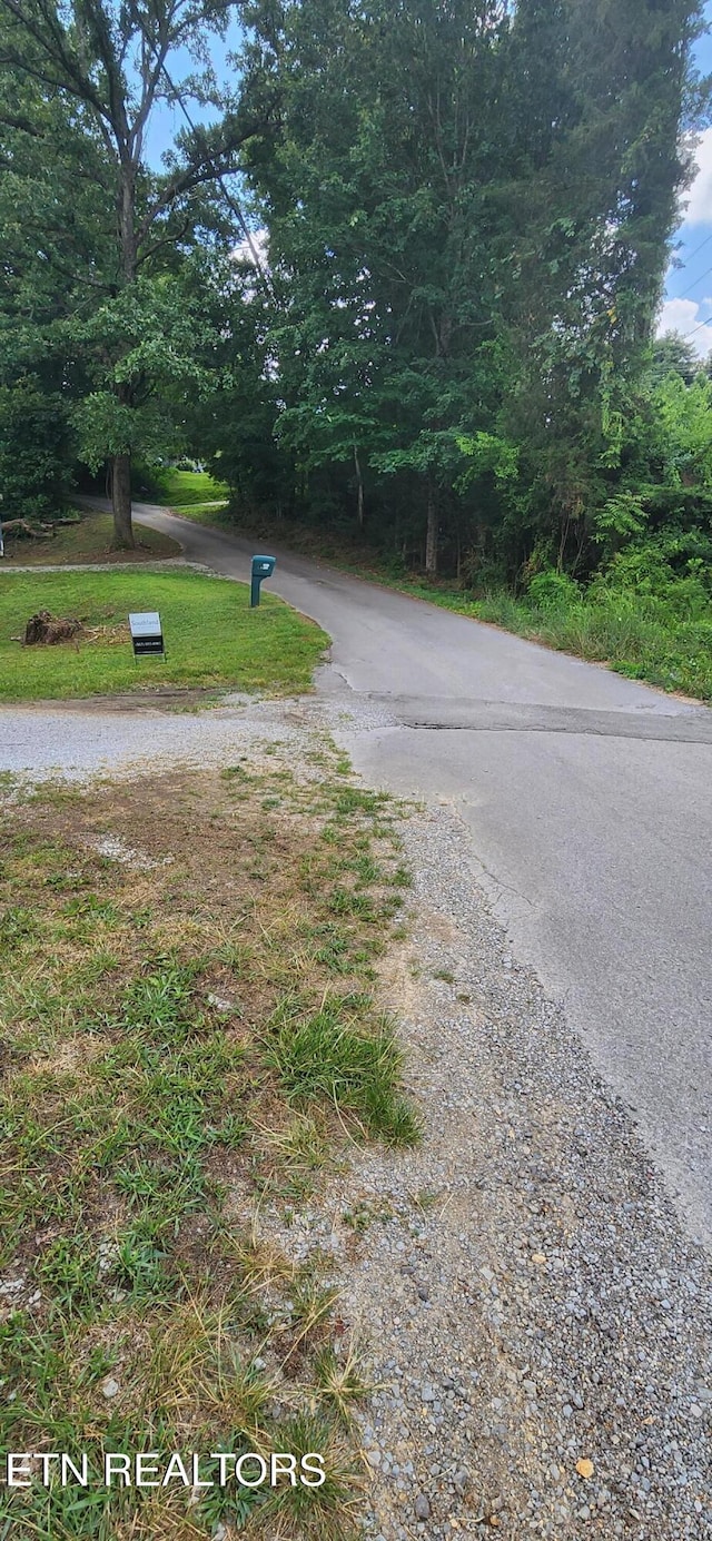 1006 Newcomb Ln, Knoxville, TN 37932 - photo 5