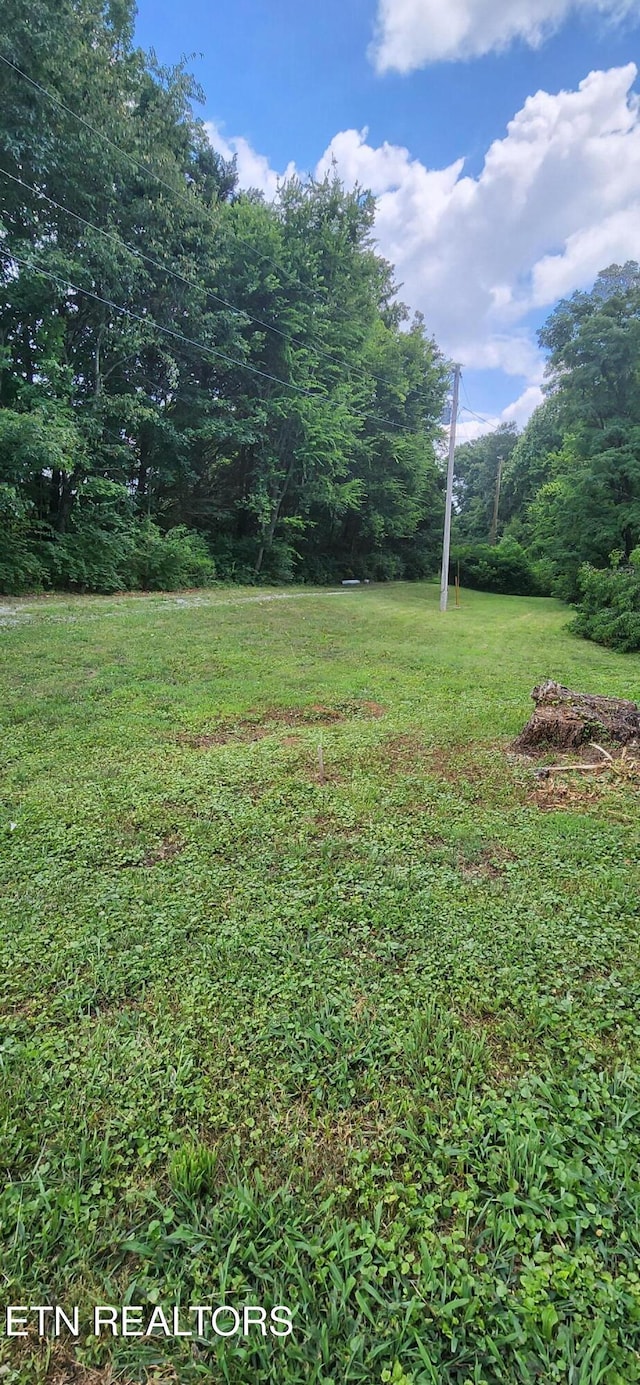1006 Newcomb Ln, Knoxville, TN 37932 - photo 1