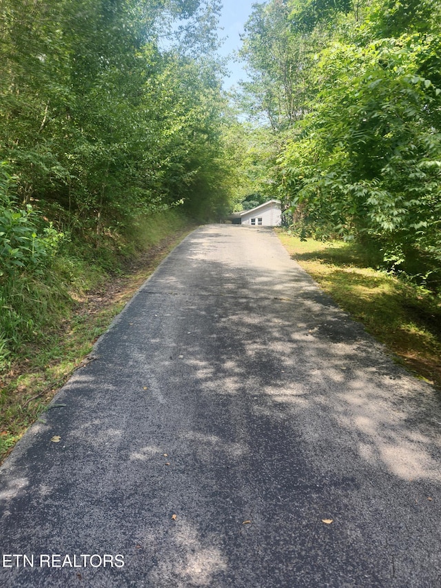 1954 Bluff Rd, Harriman, TN 37748 - photo 9