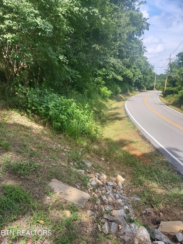1954 Bluff Rd, Harriman, TN 37748 - photo 10