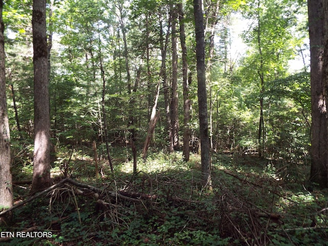 Bob Tollett Loop, Crossville, TN 38555 - photo 3