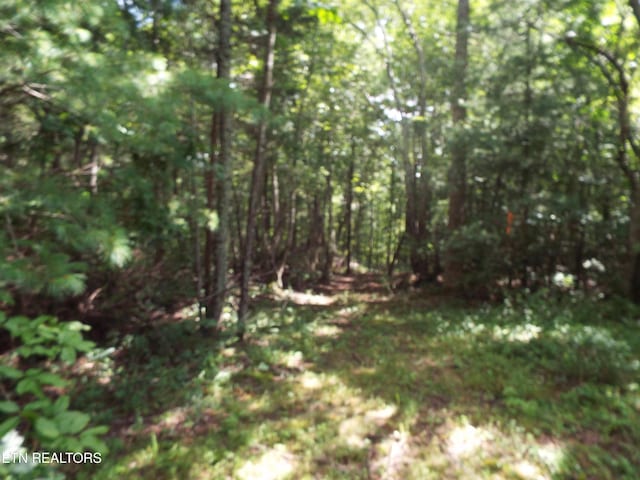 Bob Tollett Loop, Crossville, TN 38555 - photo 4