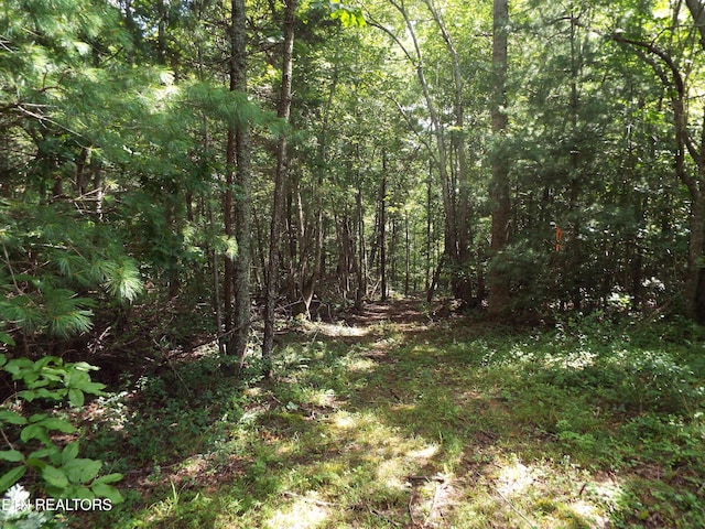 Bob Tollett Loop, Crossville, TN 38555 - photo 5
