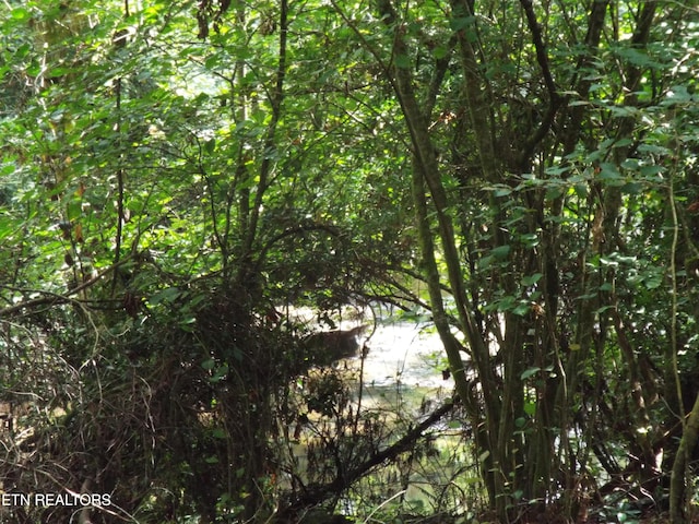 Bob Tollett Loop, Crossville, TN 38555 - photo 7
