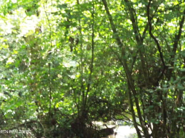 Bob Tollett Loop, Crossville, TN 38555 - photo 8