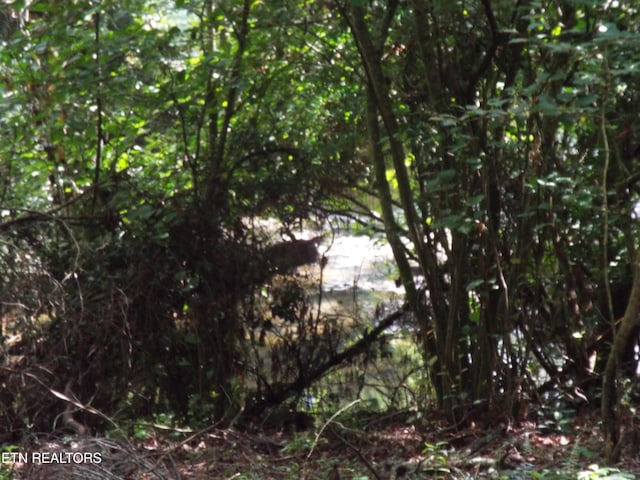 Bob Tollett Loop, Crossville, TN 38555 - photo 9