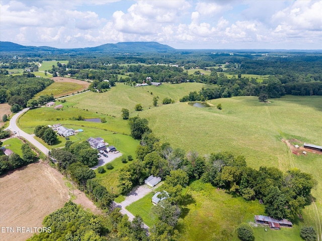 8188 Short Mountain Hwy, Smithville, TN 37166 - photo 19