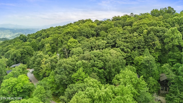 1322 N Baden Dr, Gatlinburg, TN 37738 - photo 32