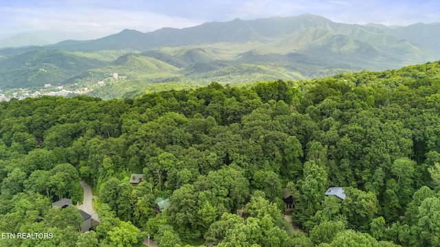 1322 N Baden Dr, Gatlinburg, TN 37738 - photo 33