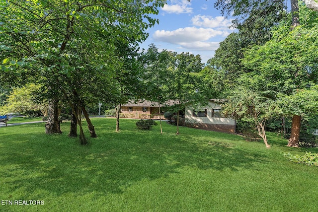 2117 Lakepoint Dr, Knoxville, TN 37922 - photo 57
