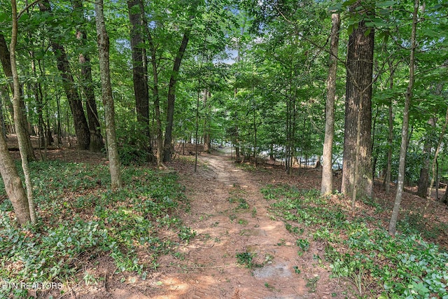 2117 Lakepoint Dr, Knoxville, TN 37922 - photo 48
